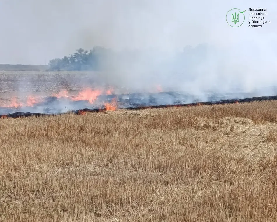 У Вінницькій області жительку оштрафували за спалення стерні