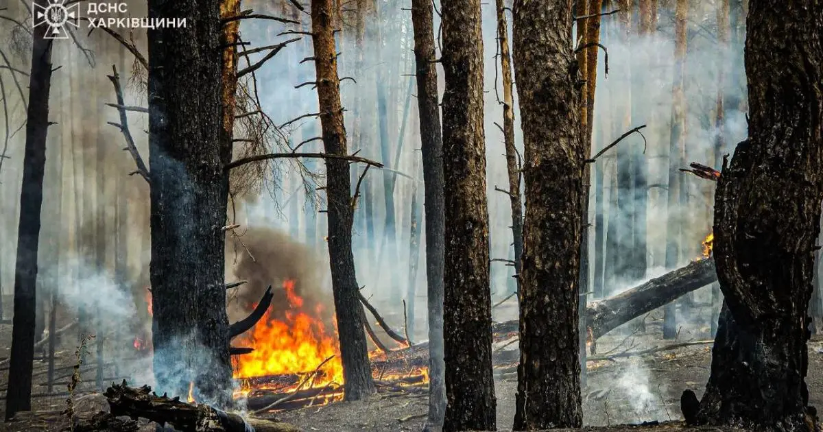 На Харківщині добу горіли 12 гектарів лісу