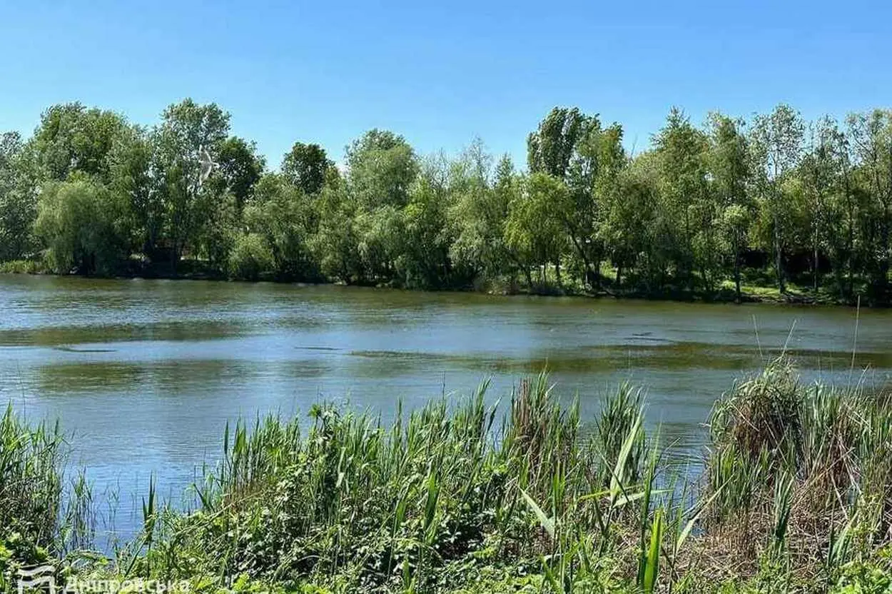 У Дніпропетровській області виявили холерний вібріон у воді: де купатися небезпечно
