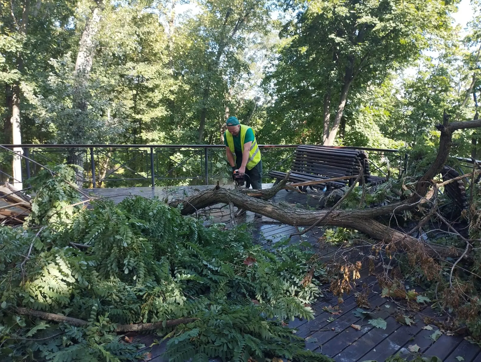 У Києві ліквідовують наслідки буревію, який повалив понад 170 дерев