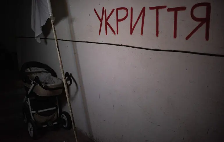 Перебування в укритті з тваринами: що треба знати