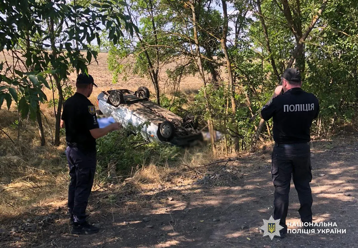 Автомобіль влетів у дерево: на Одещині внаслідок ДТП загинув водій