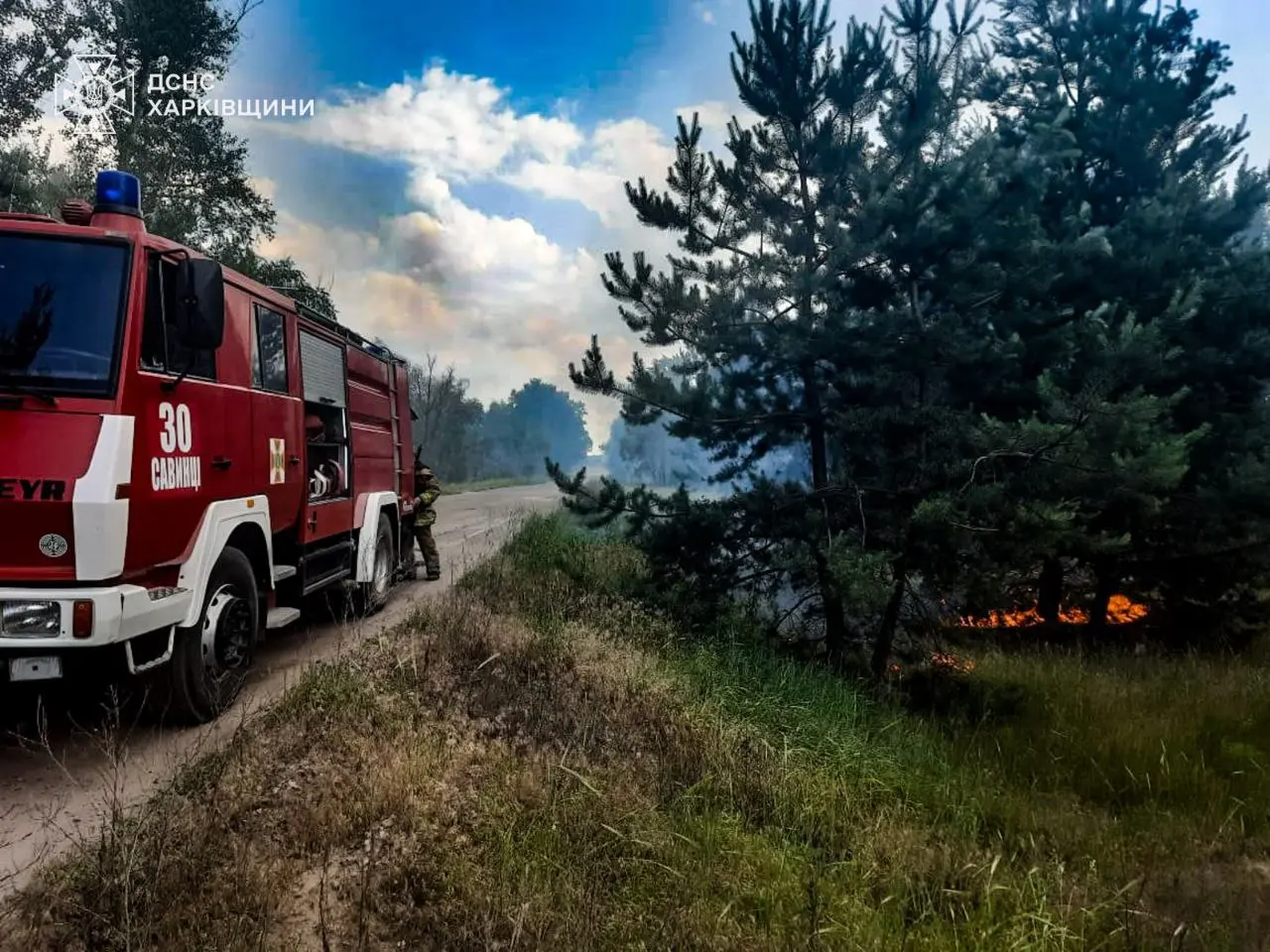 На Ізюмщині горять ліси: рятувальники гасять вісім пожеж (фото)