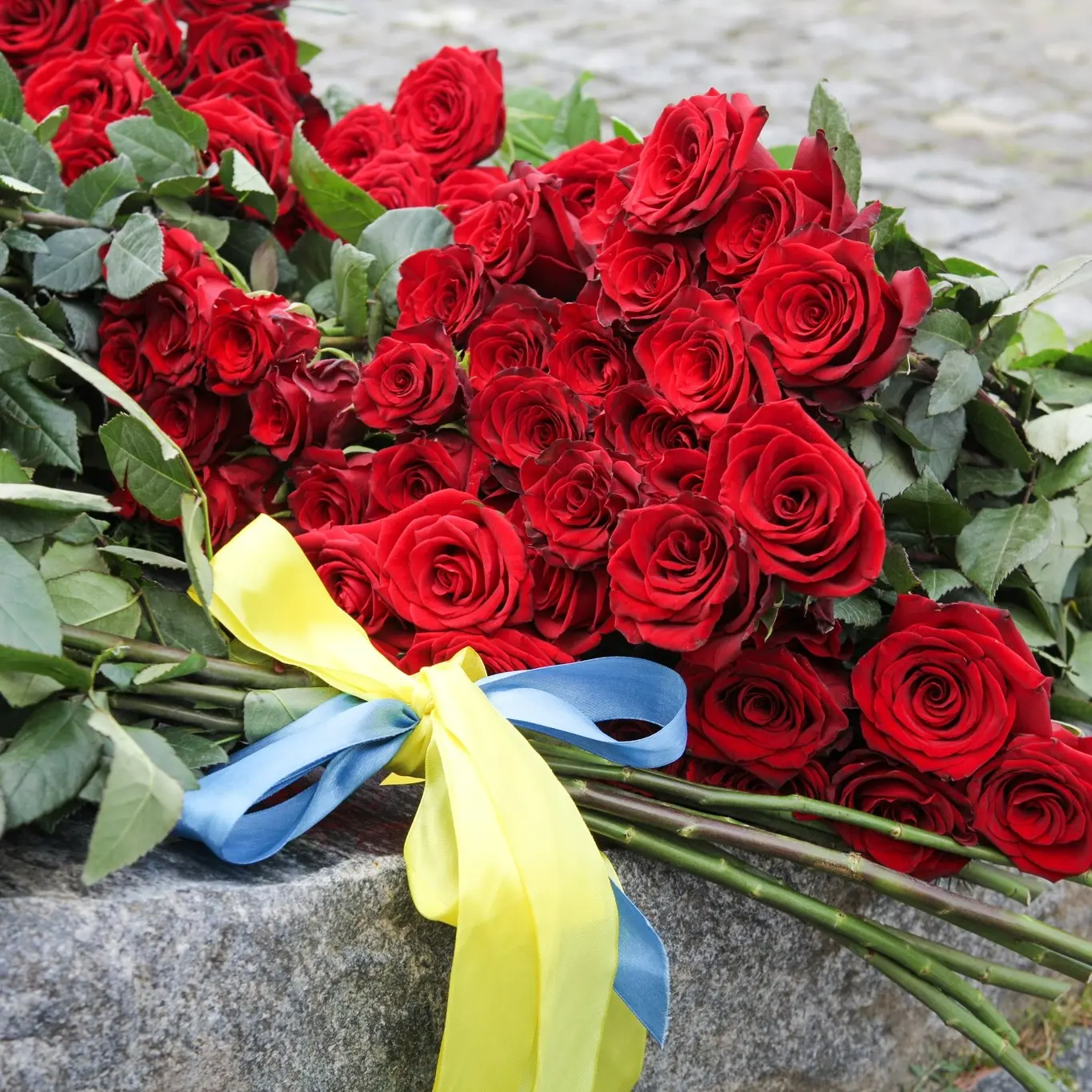 У Вінниці відбувся пам’ятний захід з нагоди Дня Конституції. ФОТО