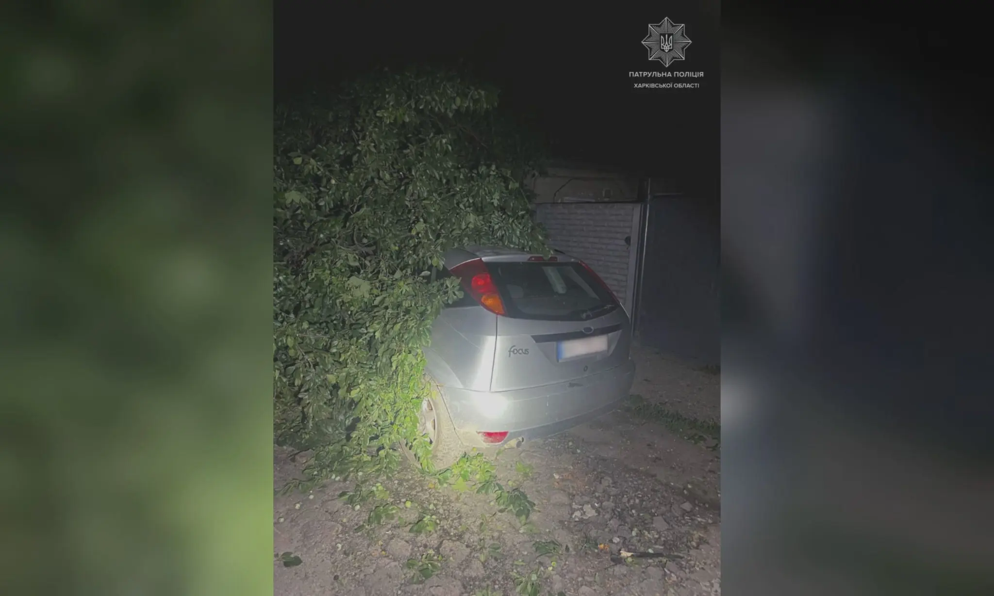 П’яний водій врізався у дерево в Харкові вночі (фото)