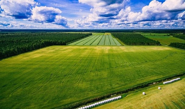 Скільки коштує українська земля зараз: експерти прогнозують зростання цін