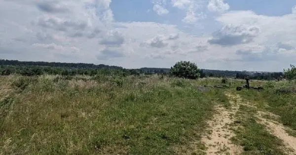 Суд остаточно повернув громаді Львова понад 3 га заказника «Торфовище Білогорща»