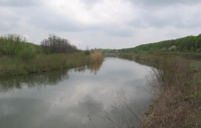 Запорожець розповів, з якою метою війська РФ намагаються переплисти Сіверський Донець