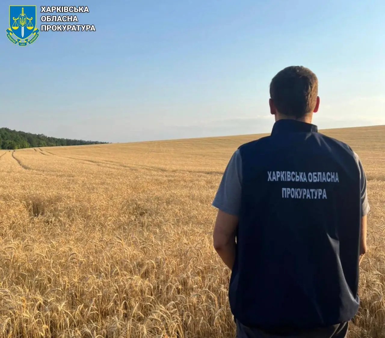 Особливо цінні землі Харківщини ТОВ використовує для вирощування врожаю