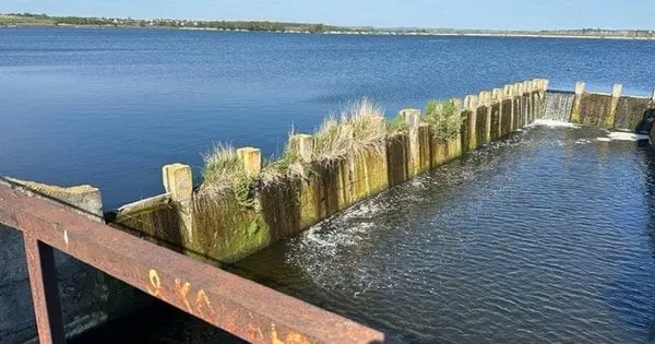 АМКУ виявив змову під час продажу дозволу на користування торфом в Гамаліївці