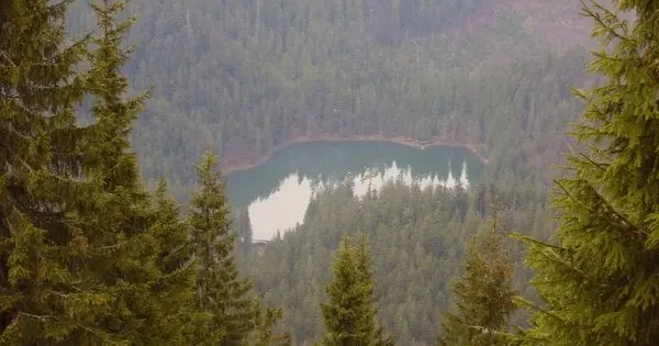 Посадовець Держземагенства відвів під сільські угіддя понад 30 га землі парку «Синевир»
