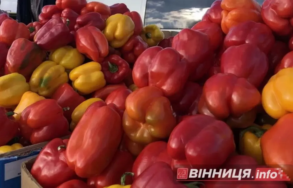 Продукція від виробника: на вихідних у Вінниці проведуть ярмарок