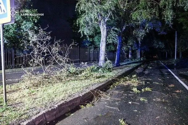 Повалені дерева, зірвані дахи та загибла: у Харкові та області ліквідовують наслідки негоди