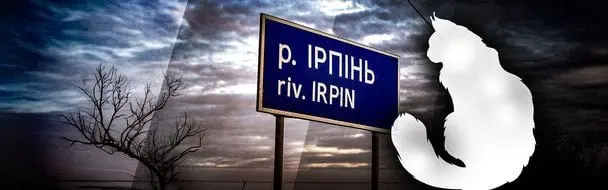 В Ірпені біля магазину зухвало задушили кота Бегемота: подробиці гучного скандалу
