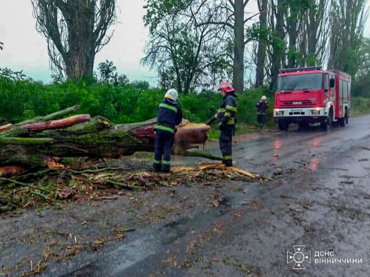 Через зливу у Вінниці дерево впало на авто та покрівлю гаража