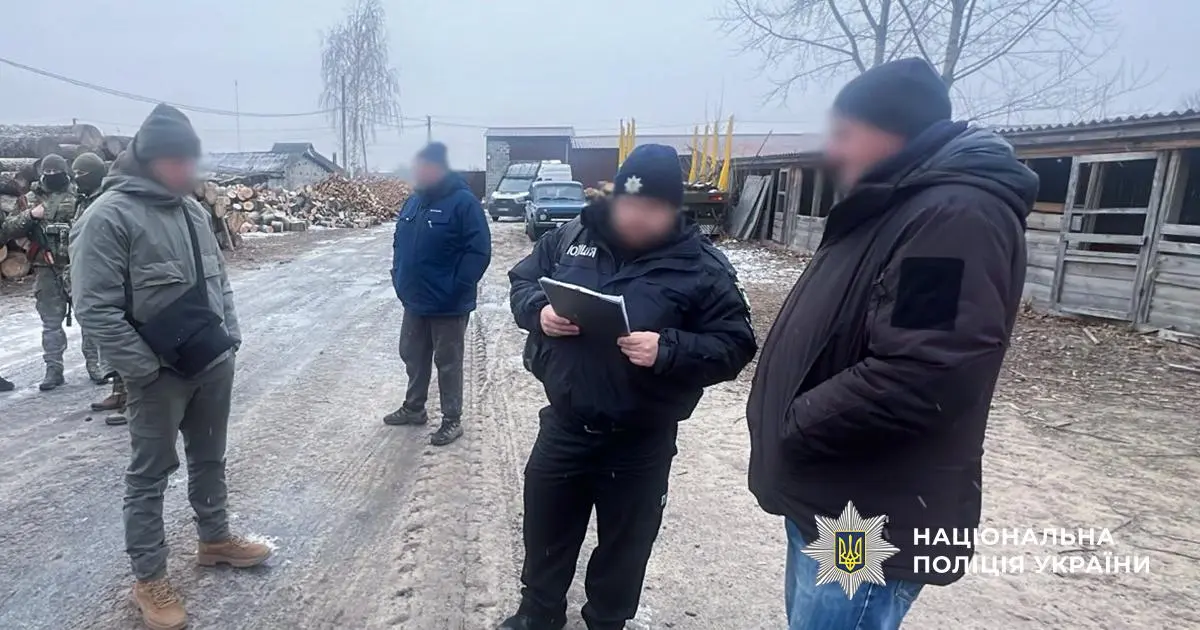 На Харківщині незаконно вирубали вікові дерева на два мільйони гривень 