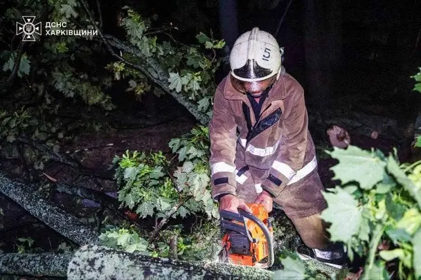Буревій на Харківщині: скільки життів забрала негода та наслідки удару стихії (фото)