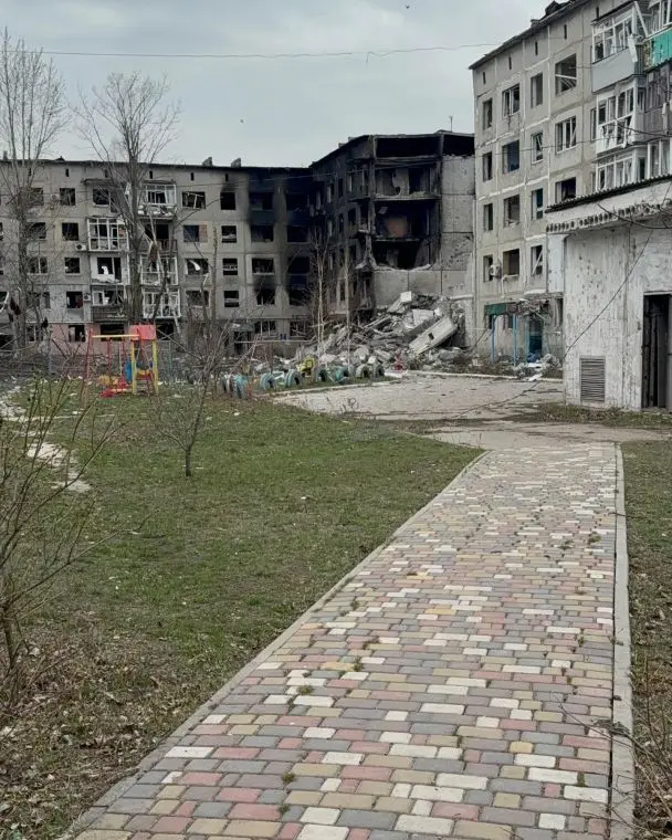 "Покровська вже нема": подружжя самотужки вийшло пішки під обстрілами з котами