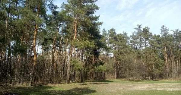 Суд повернув Міноборони ділянку вартістю 30 млн грн на Львівщині