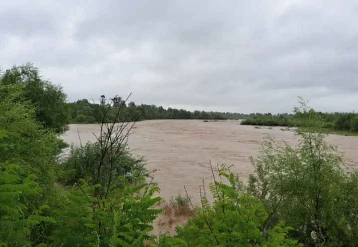 На Буковині попереджають про небезпеку через значний підйом води у річках