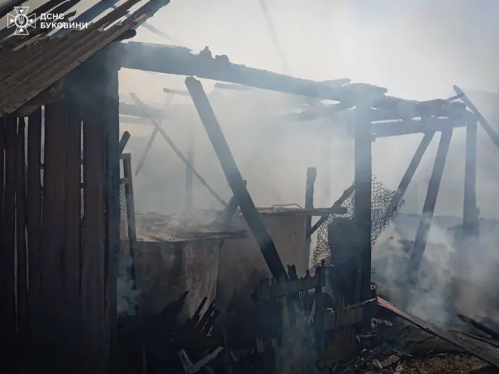 Пожежі в Чернівецькій області: ліквідація та наслідки