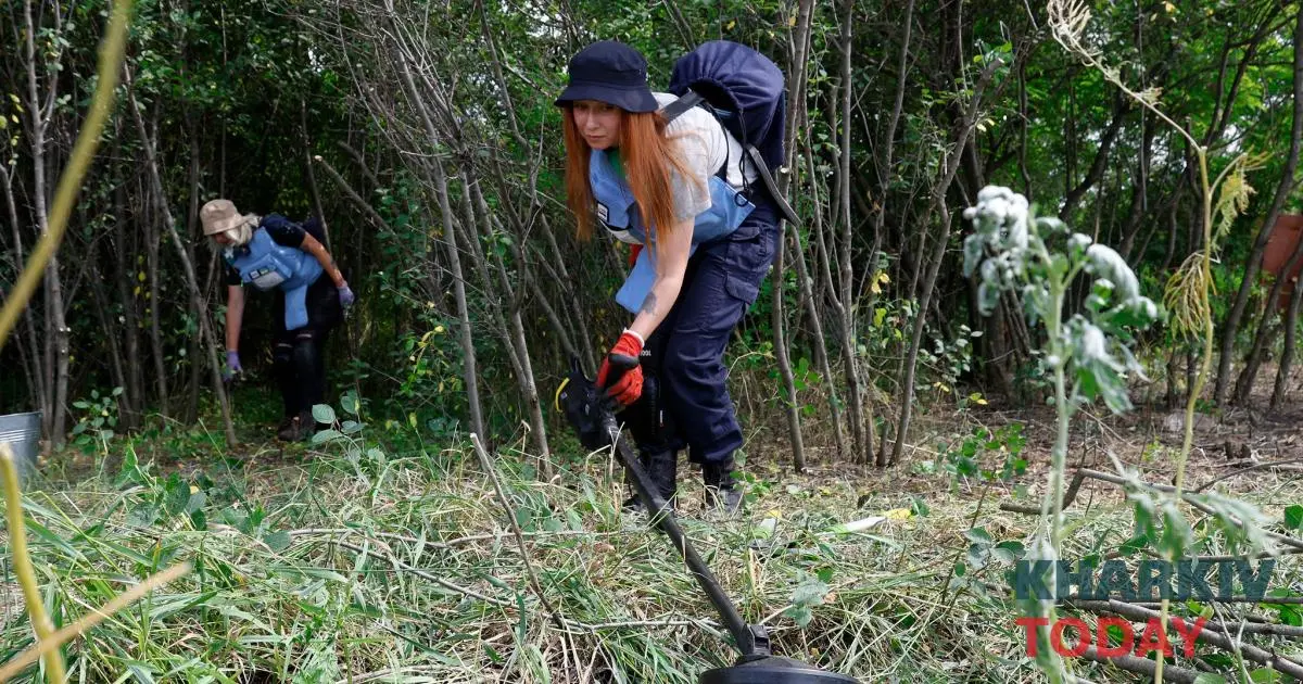 Як у Харківській області звільняють землю від мін