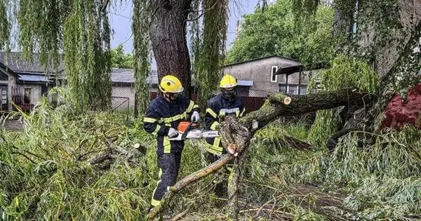 На Буковині через негоду без електрики залишилися 25 тисяч споживачів