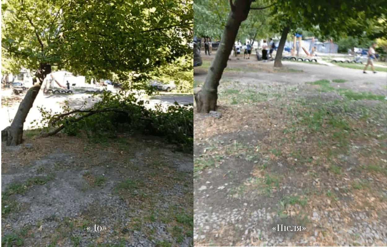 У Дніпрі продовжують прибирати аварійні дерева та сміття за заявками містян