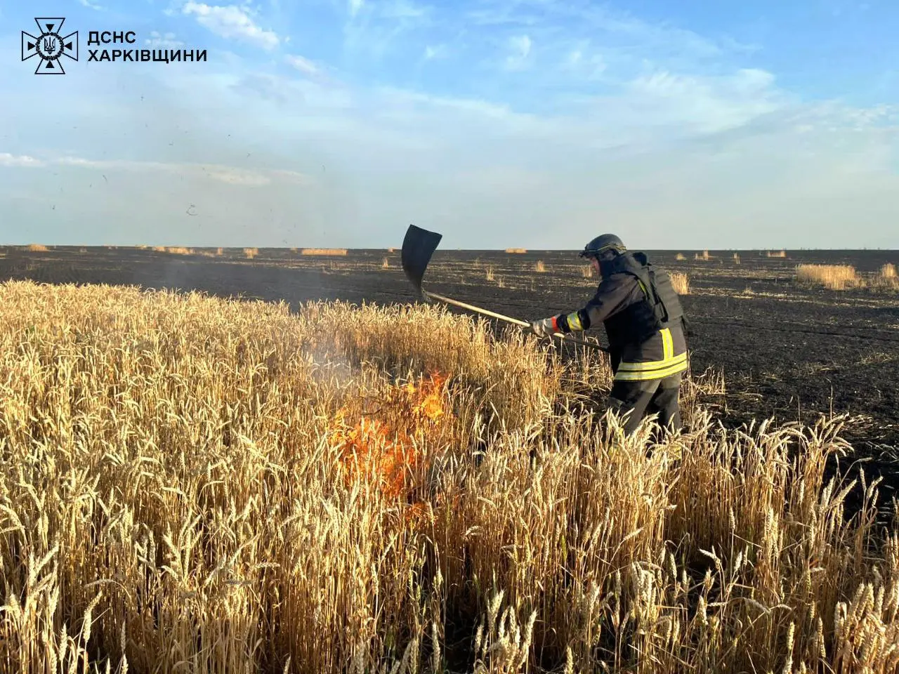 Хлібні поля Харківщини росіяни атакували КАБами і FPV-дроном – є поранений