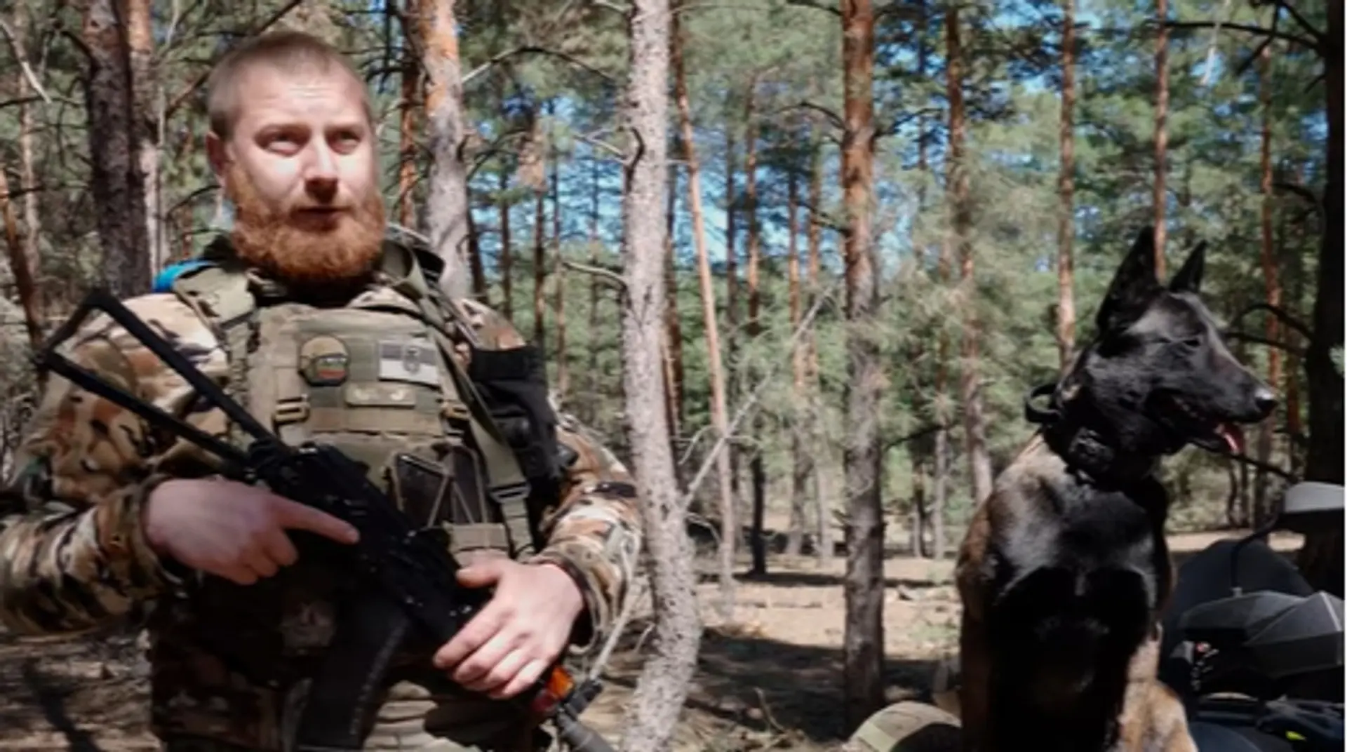 "Росіян ненавидить, як і всі ми": історія бойового пса, який врятував захисників від атаки РФ