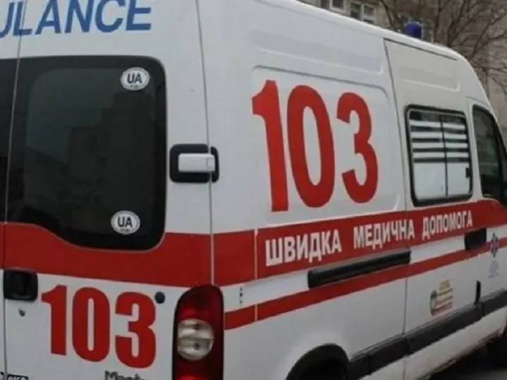 В селі Буденець на подвір’ї власного будинку водій буса збив однорічну племінницю