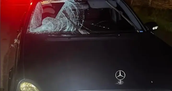 Загинув під колесами Mercedes: молодий буковинець збив мешканця Петричанки