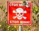 Вартість розмінування 1 га сільгоспугідь становить 62 тис. грн - Южаніна