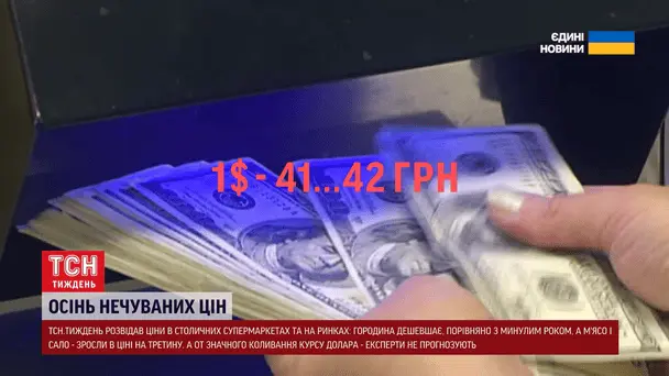 Купувати долари чи ні: експерт радить, як зберегти заощадження до кінця року