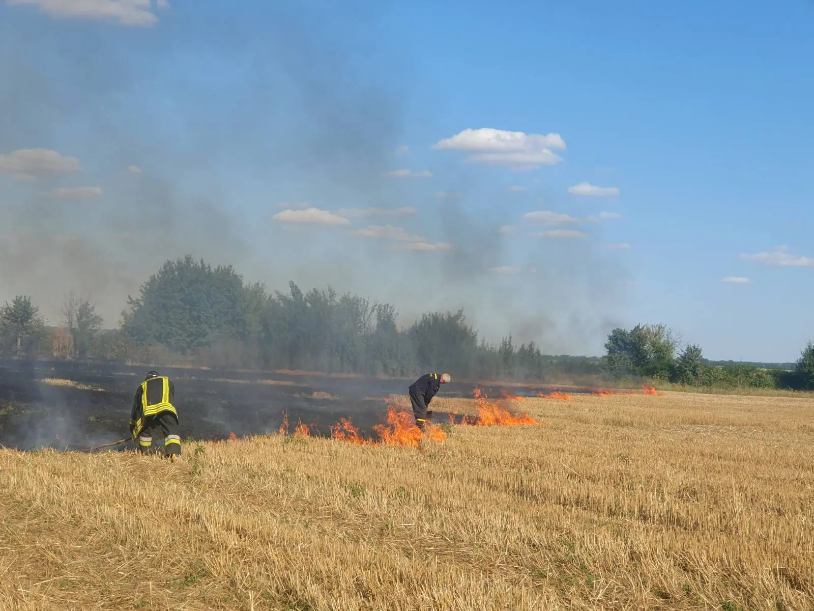 На Вінниччині горіли десятки гектарів стерні: екологи нагадали про штрафи