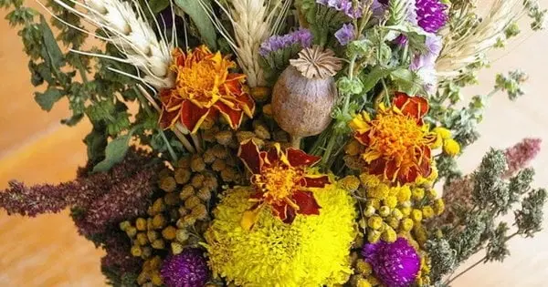 Одне з найбільших свят серпня: коли і чому відзначають Маковія або Медовий Спас