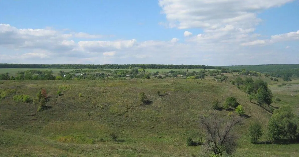 У Харківській області віддали в приватні руки частину пам’ятки археології
