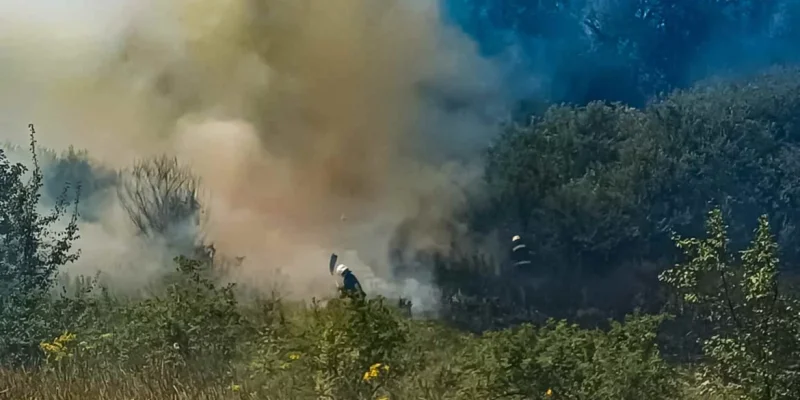 Пожежі на Вінниччині: ліквідація та попередження