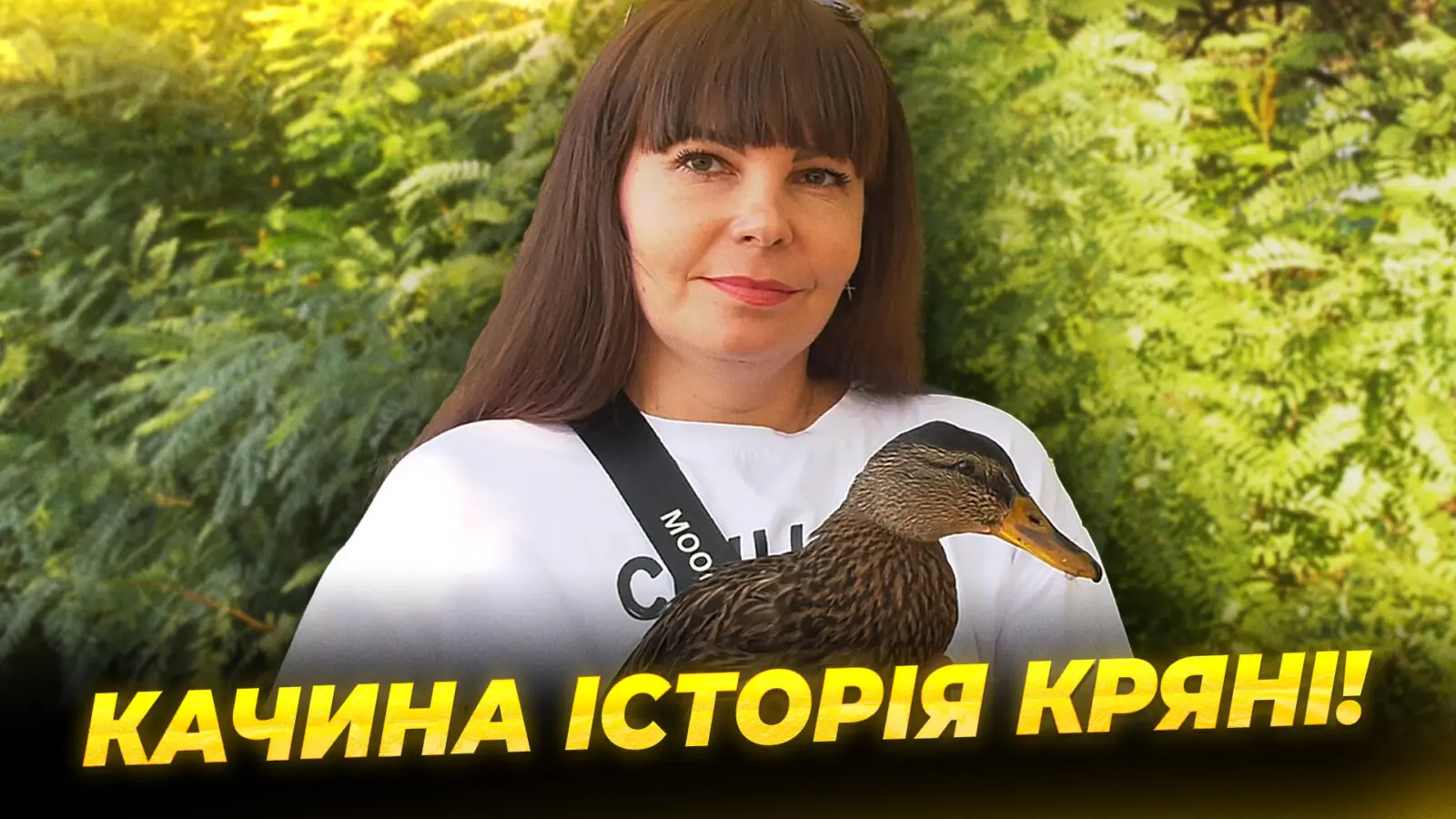 Живе найкраще пташине життя: у Дніпрі жінка прихистила качку