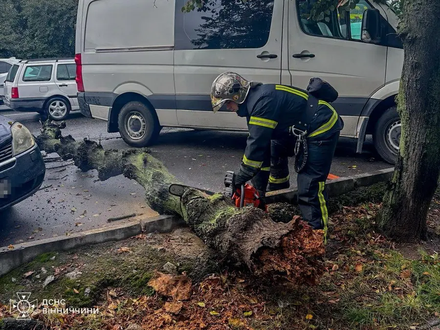 У Вінниці на машину впало дерево