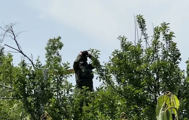 Піхота РФ намагалася провести несподіваний штурм, однак зазнала втрат: бійці 71-ї ОЄБр показали відео