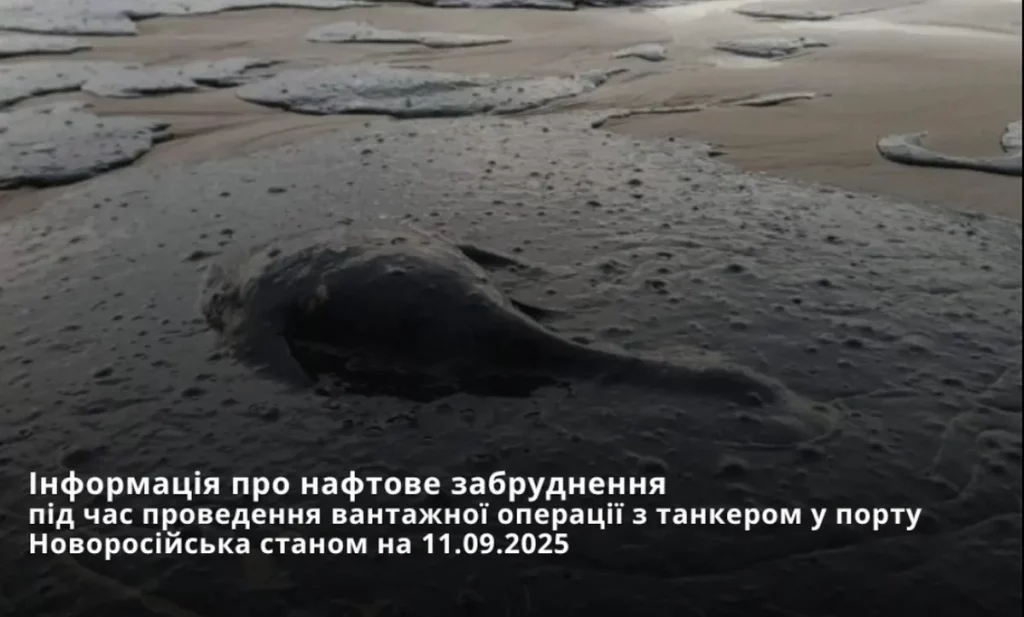 Нова загроза для Одеси: величезна нафтова пляма з Новоросійська рухається до Криму