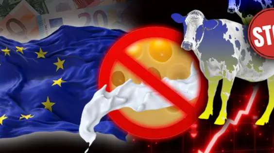 Лавочку прикрили: як ЄС зруйнував експорт української молочної продукції