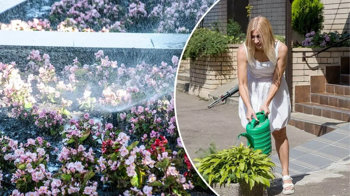 Як мешканці Дніпра рятують клумби у спеку