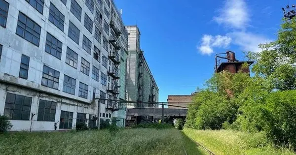 Керівник чернівецького хлібокомбінату уник покарання за 100 тис. грн хабаря