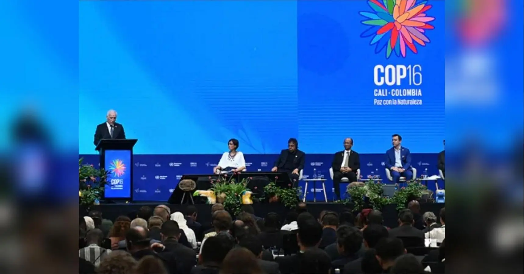Ліси Вірменії зникають: тривожний сигнал перед COP 17