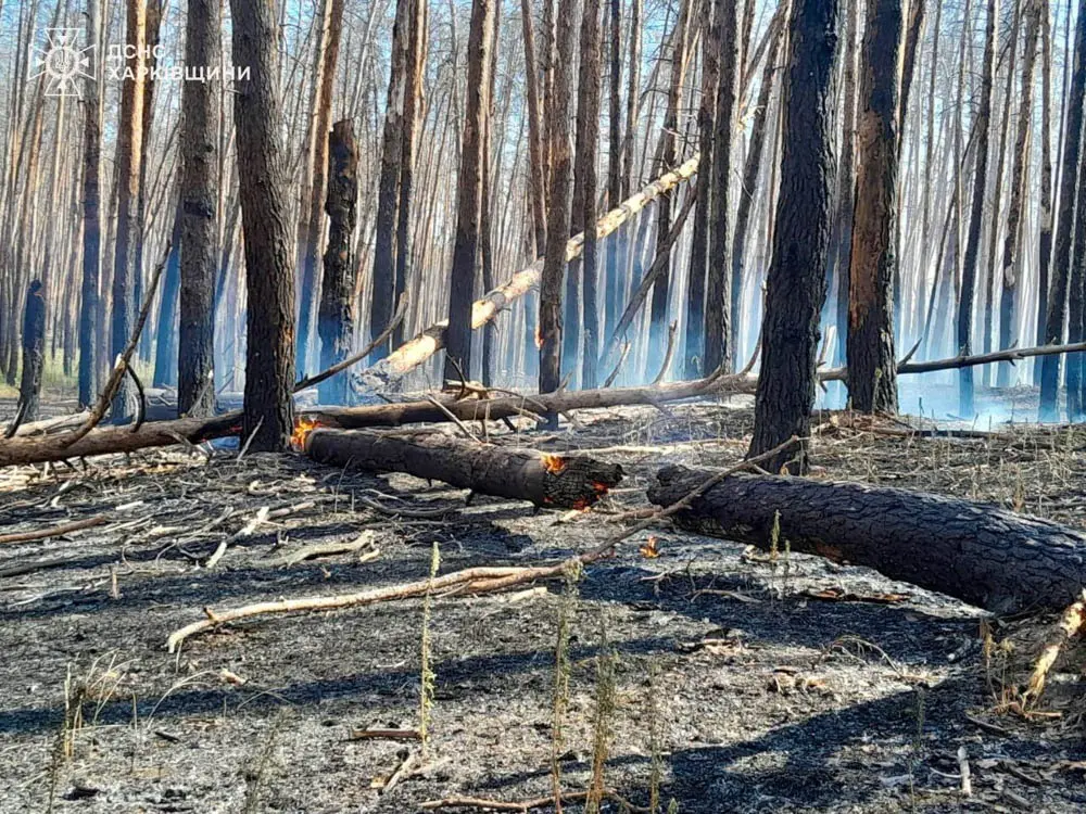 У Харківській області триває ліквідація восьми лісових пожеж