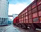 Україна у новому сезоні експортувала майже 800 тисяч тонн зернових