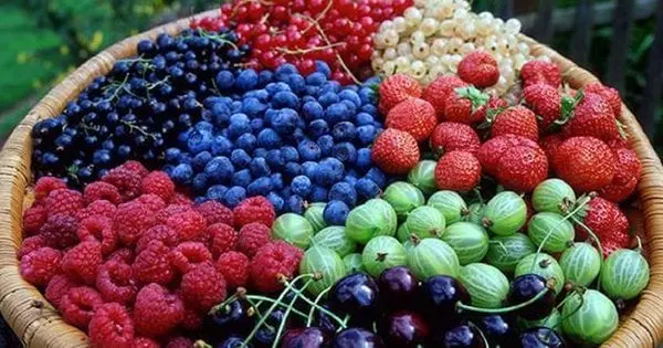 Скільки ягід можна з’їсти за раз і що приготувати вдома