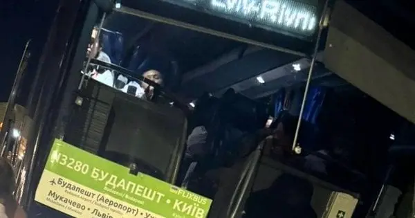 Закарпатські митники вилучили у водія автобуса «Будапешт – Київ» ліків на понад 300 тис. грн